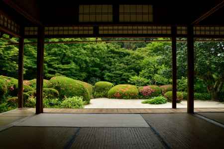丈山寺、緑の季節