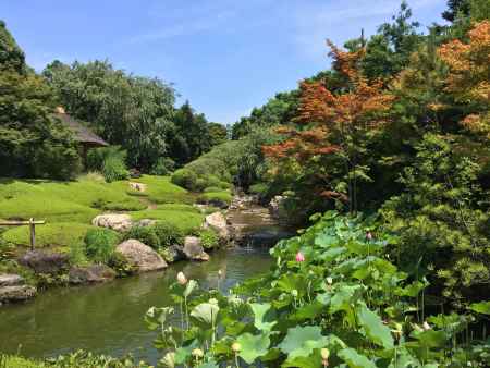 余香苑、盛夏の装い