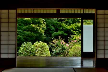 東山、紅花咲く庵