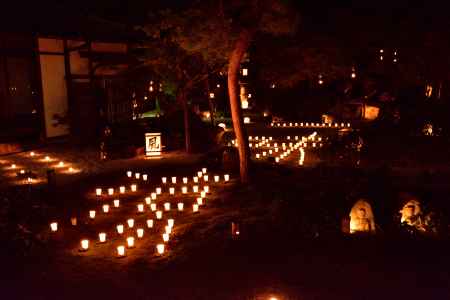 夜灯り揺れる禅の寺