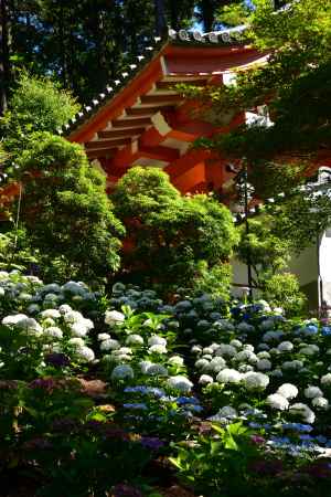 山寺、七変化