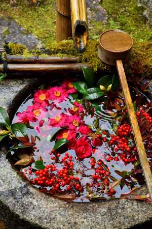 春節の手水鉢