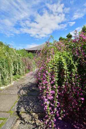 秋空の花簾