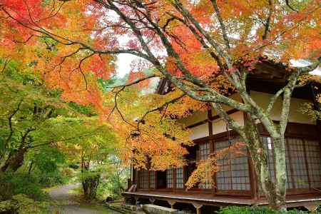 お堂の深秋