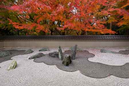 深紅の飛龍