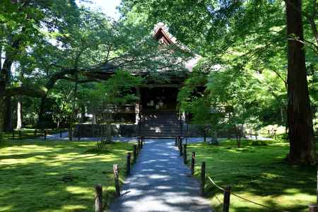 深緑の魚山