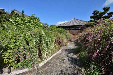 出町柳の花簾