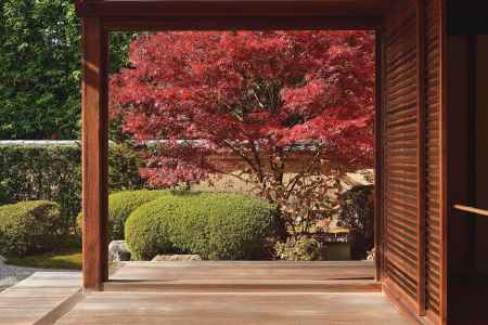 禅寺、秋の朱印