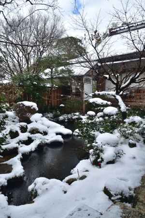 大原、雪の素描