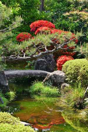 小さな絶景