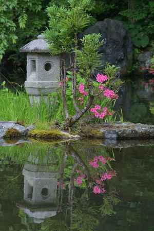 桂昌院の美庭