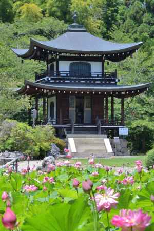 氷室池の夏景色