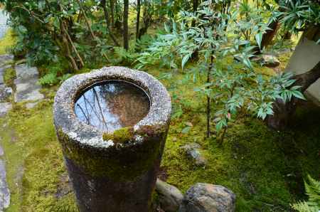 桂春院の水鏡