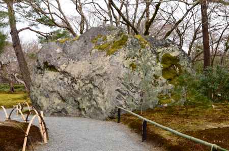 大岩の苔