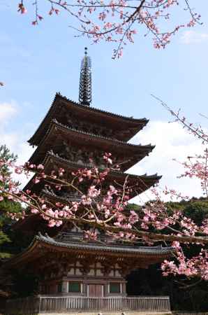 水湧く山の春