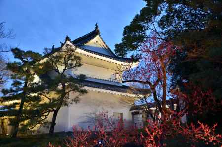 元離宮　春の夜の夢