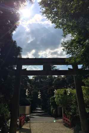 水度神社4 2016.08.20