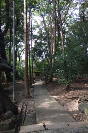 水度神社3 2016.08.20