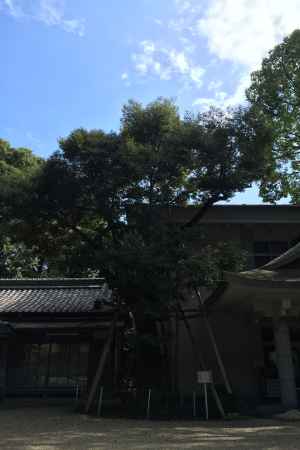 水度神社6 2016.08.20