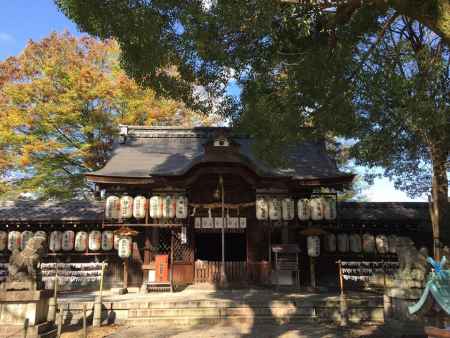 縣神社1 2015.11.20