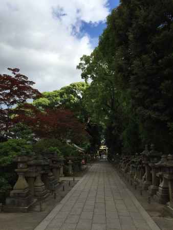 石清水八幡宮3 2015.06.28