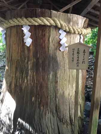 大神神社 2016.4.29