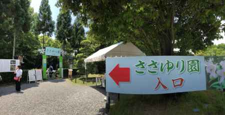 大神神社20180603- h