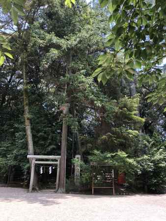 水度神社20180604-s