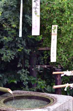 梨木神社　萩まつり(160917a)