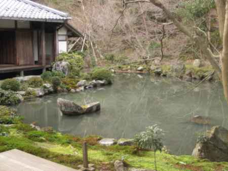 蓮華寺の池