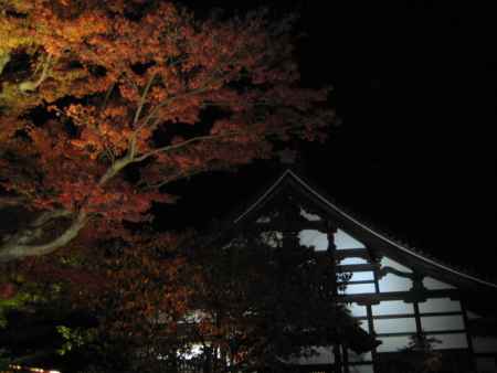 高台寺のライトアップ
