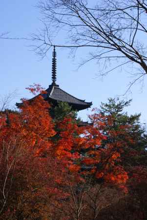 仁和寺４