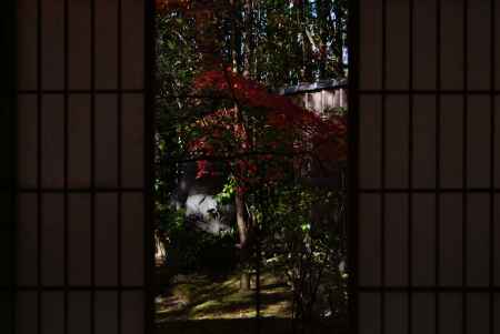 妙心寺退蔵院４