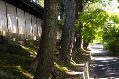 東福寺4