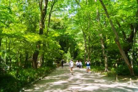 下鴨神社の糺の森