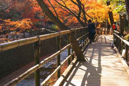 紙屋川　紅葉散歩