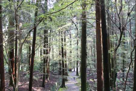 森閑＠高山寺