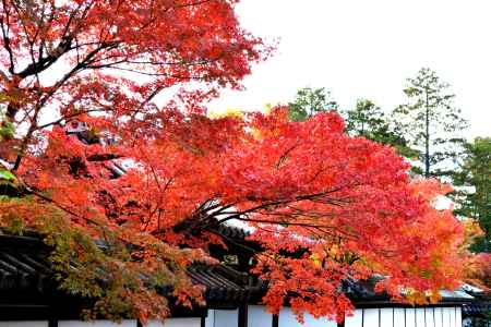 南禅寺2014②