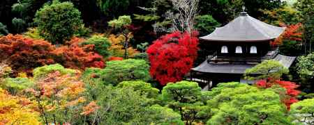 銀閣寺紅葉2014③