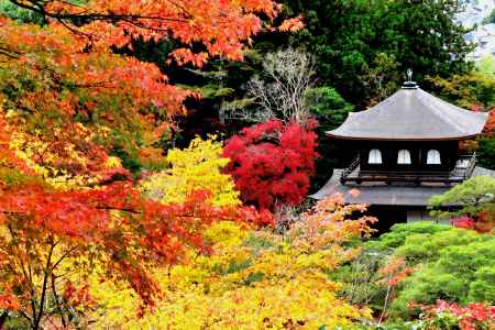 銀閣寺紅葉2014⑤