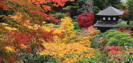 銀閣寺紅葉2014⑥