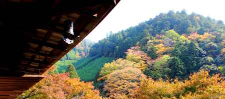 高山寺紅葉2013①