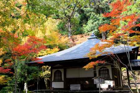 高山寺紅葉2013⑥