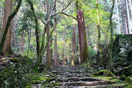 高山寺紅葉2013⑦