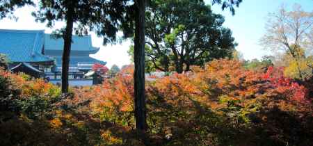 東福寺紅葉2013③