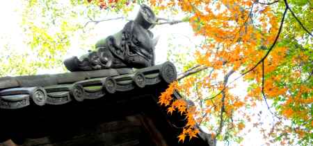 東福寺紅葉2013⑯