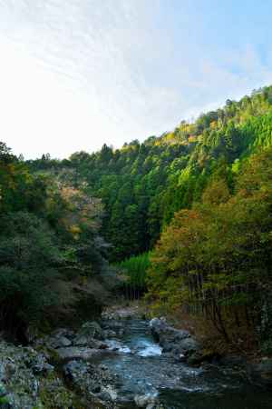 清滝川秋2015①