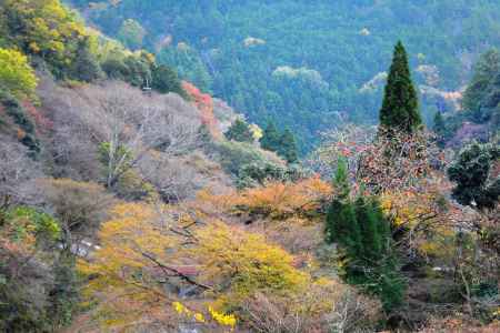 清滝川秋2015⑦