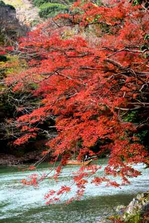 嵐山紅葉2015①