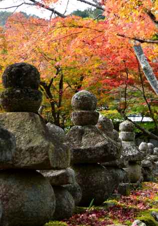 化野念仏寺紅葉2015①